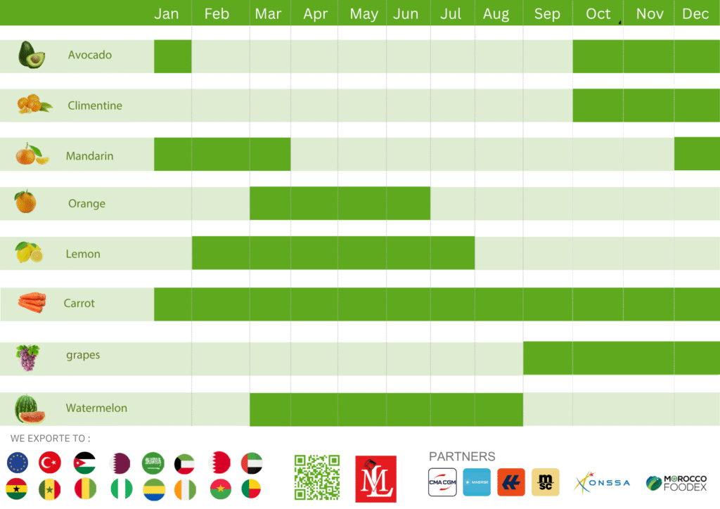 Programme de r&eacute;colte du Maroc : calendrier saisonnier des 8 produits, destinations d'export et partenaires logistiques