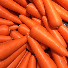 Carrot exported by Le Marocain Fruits & Nuts