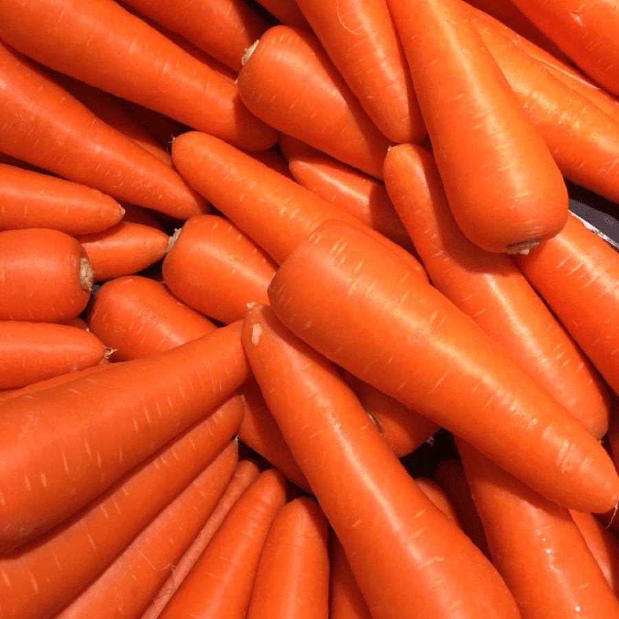 Carrot exported by Le Marocain Fruits & Nuts