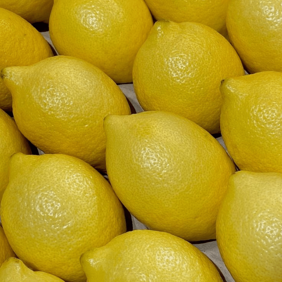 Lemon exported by Le Marocain Fruits & Nuts