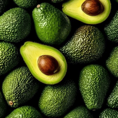 Avocado exported by Le Marocain Fruits & Nuts