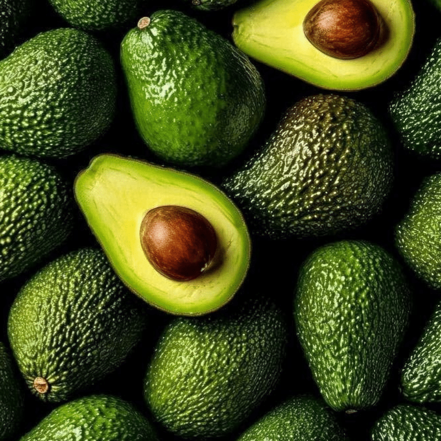 Avocado exported by Le Marocain Fruits & Nuts
