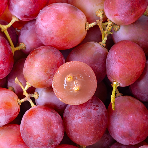Grapes exported by Le Marocain Fruits & Nuts