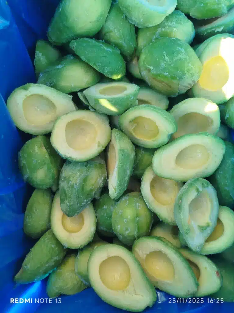 IQF Avocado Hass halves
