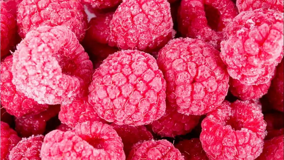 IQF raspberries