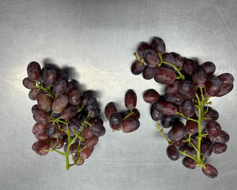 grapes (10)