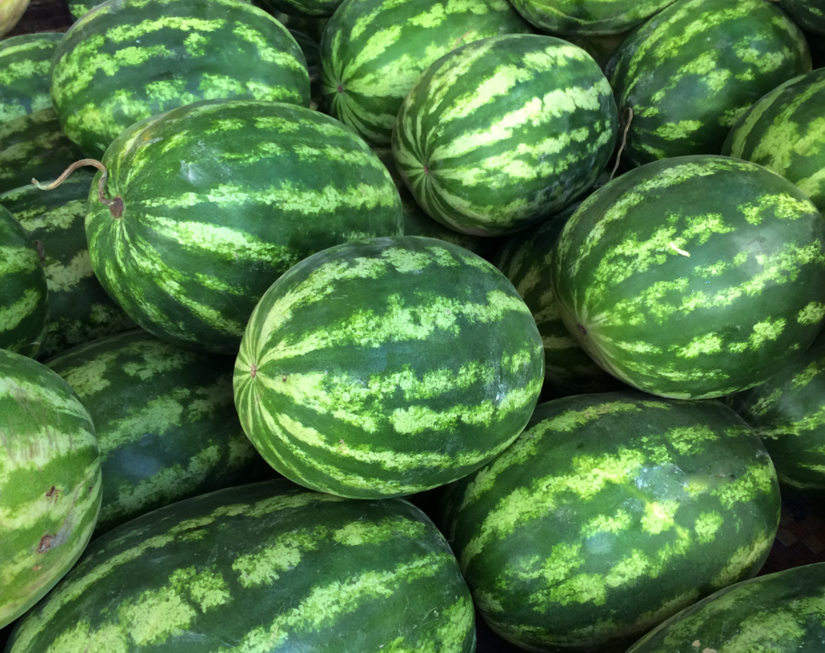 watermelon (4)