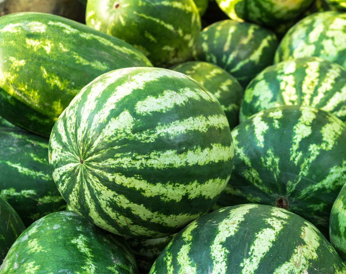 watermelon (5)