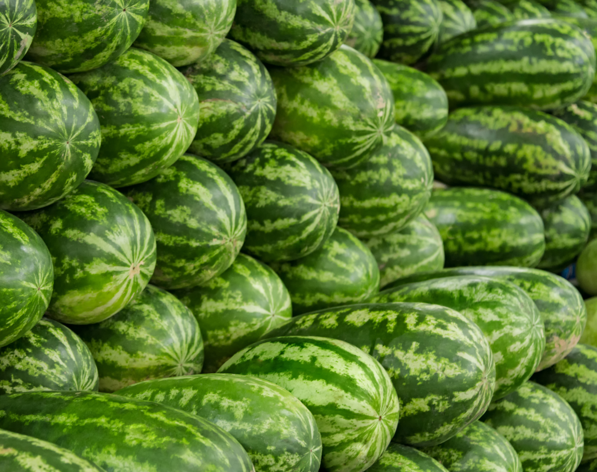 watermelon (7)